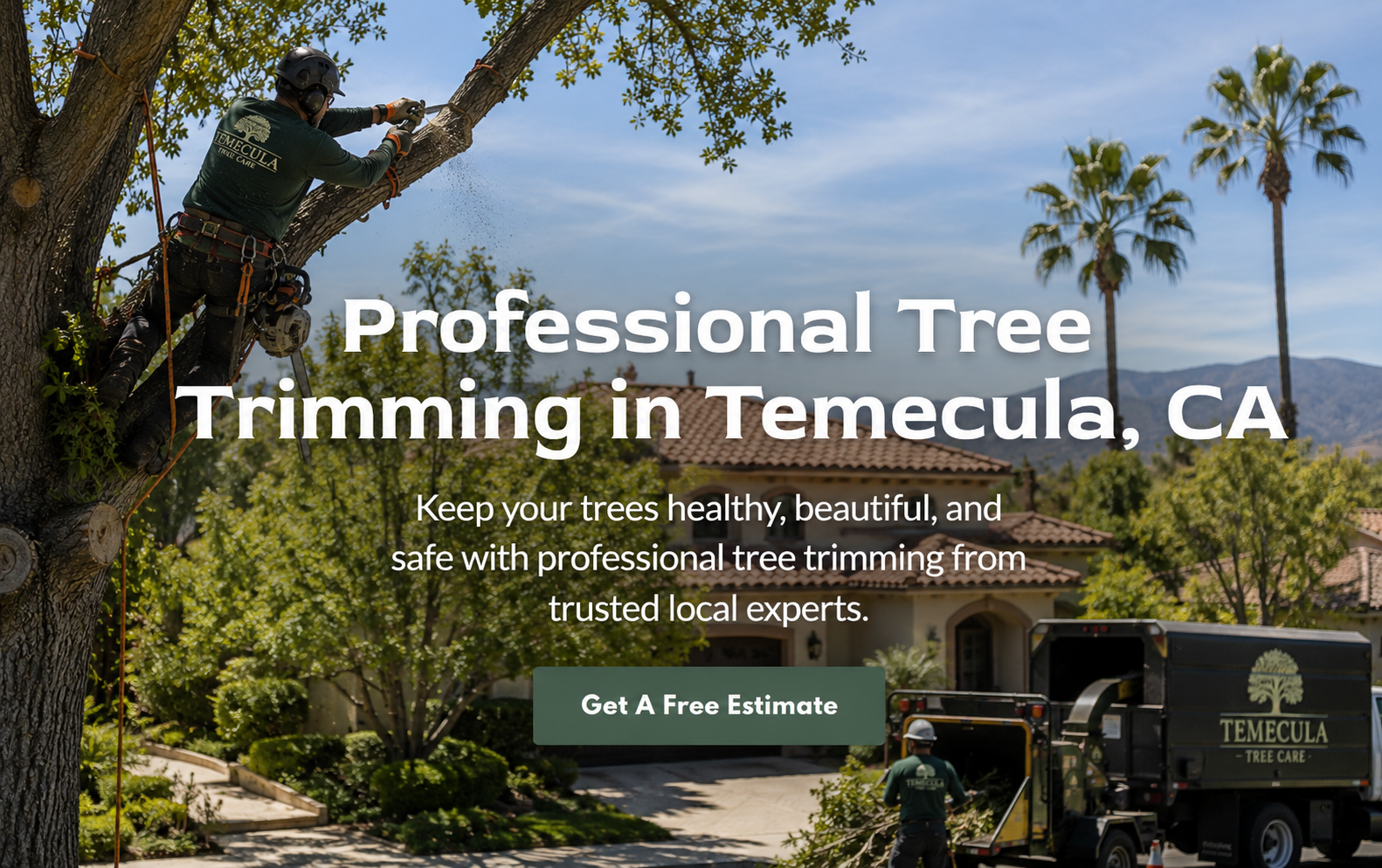 Temecula Tree Pros tree service project 7